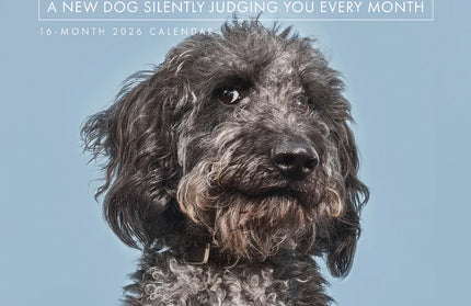 Calendario 2026 Pared 12M - Judgmental Dogs