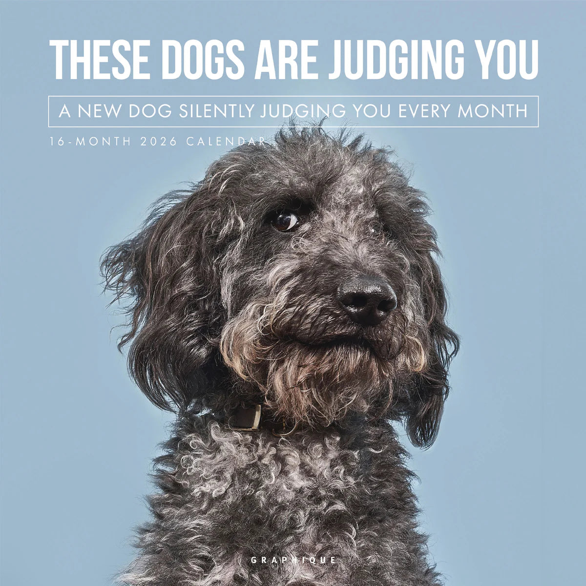 Calendario 2026 Pared 12M - Judgmental Dogs