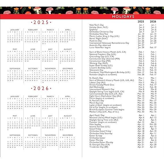 Agenda 2025 Mushrooms 24 Meses