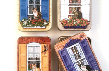 Caja Mecalica Ventanas - Dana Kubick