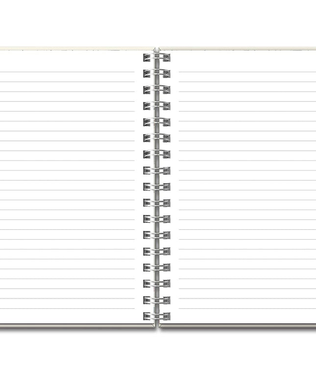 Cuaderno Erizo