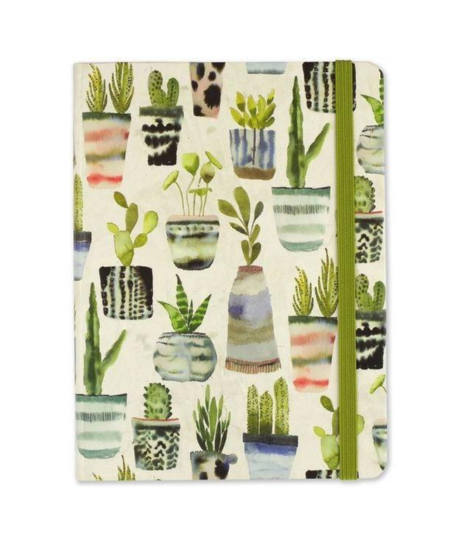 Libreta Suculentas