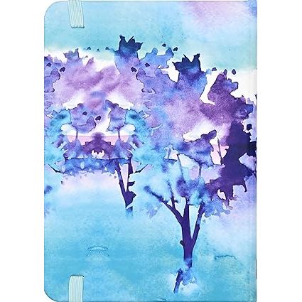 Agenda 2025 Reflections 16 Meses