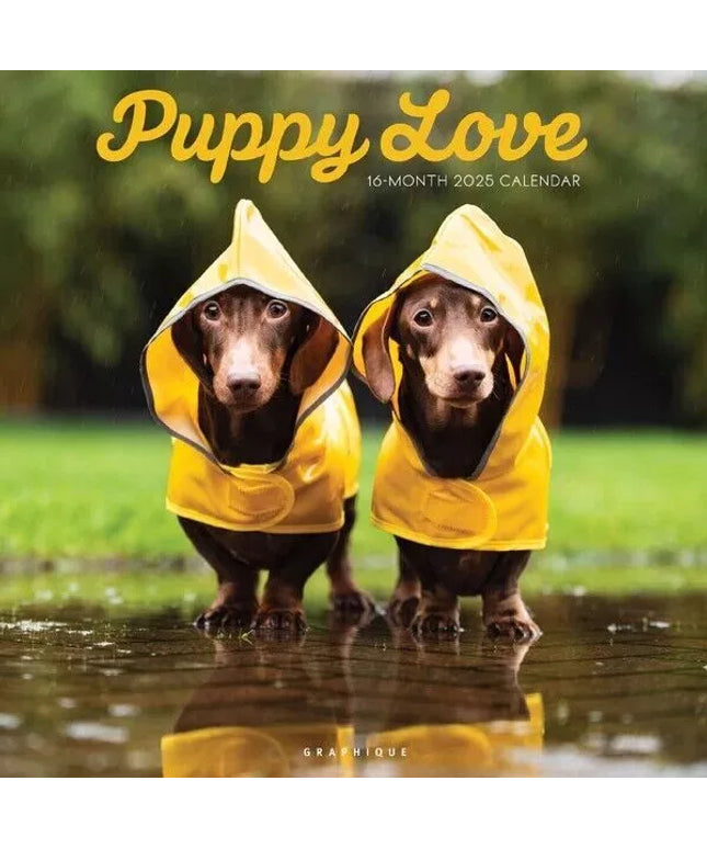Calendario 2025 Pared 12M - Puppy Love