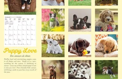 Calendario 2025 Pared 12M - Puppy Love