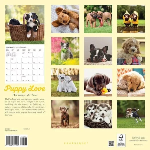 Calendario 2025 Pared 12M - Puppy Love